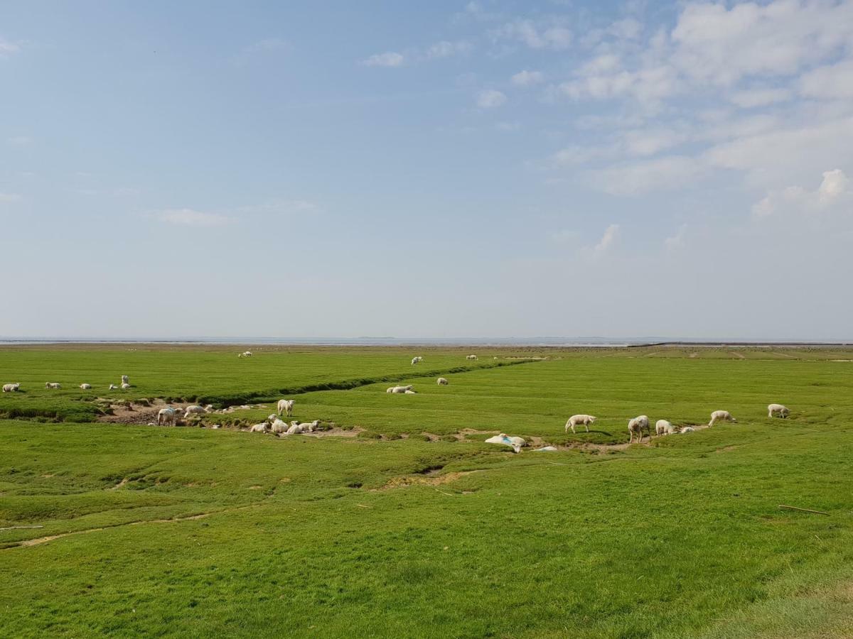 Kleines Haeuschen Am Deich, Vor Den Toren Von Sylt Villa Emmelsbüll-Horsbüll Eksteriør bilde