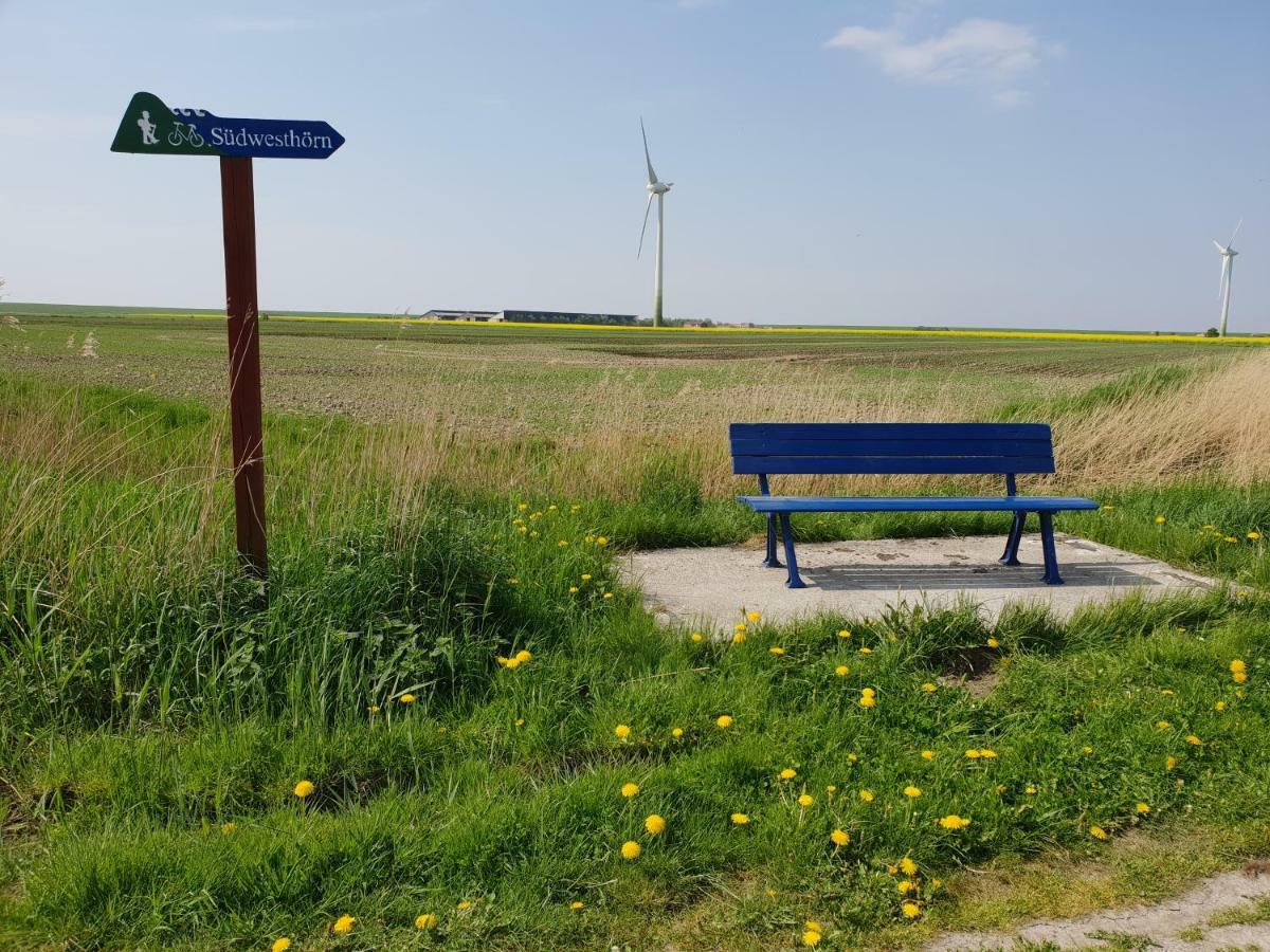 Kleines Haeuschen Am Deich, Vor Den Toren Von Sylt Villa Emmelsbüll-Horsbüll Eksteriør bilde